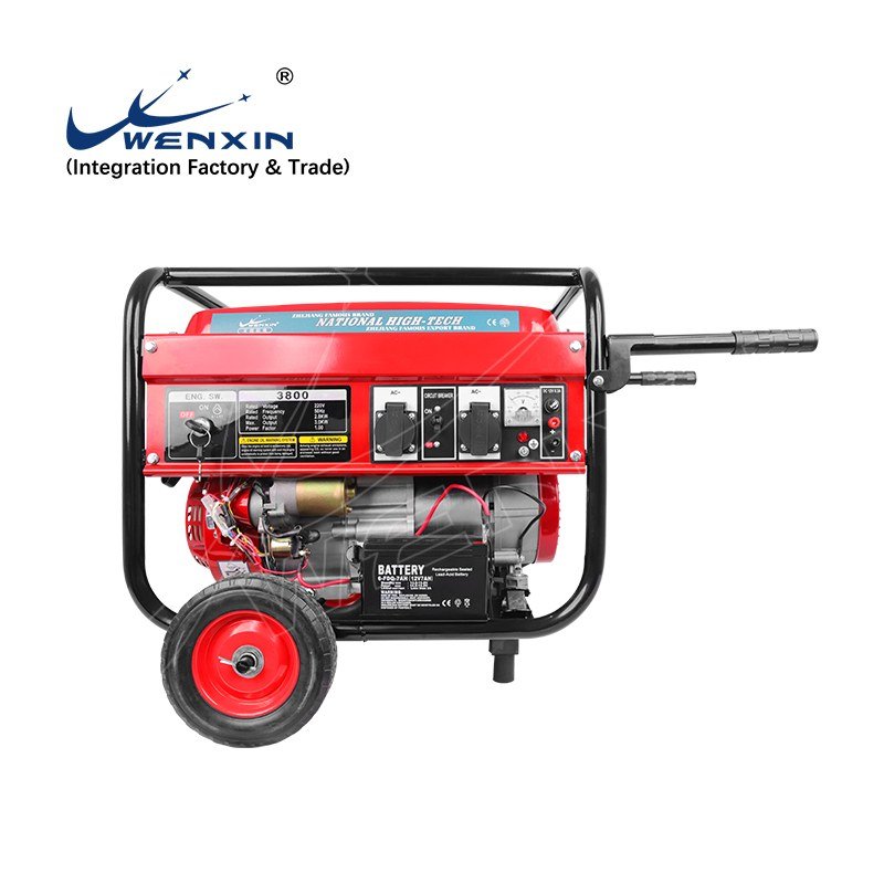 WENXIN tri-fuel lpg / natural gas generator, side view