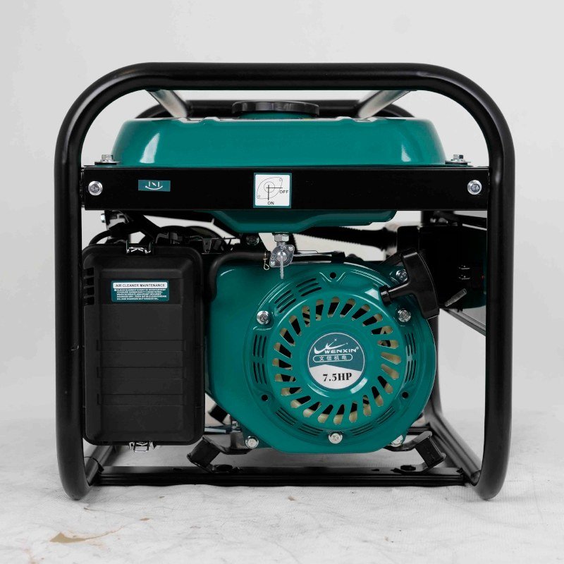 WENXIN 1-10kw gasoline generator, engine view